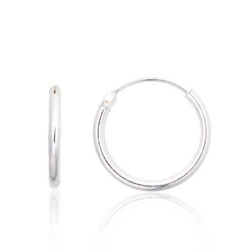 Silver earrings-rings