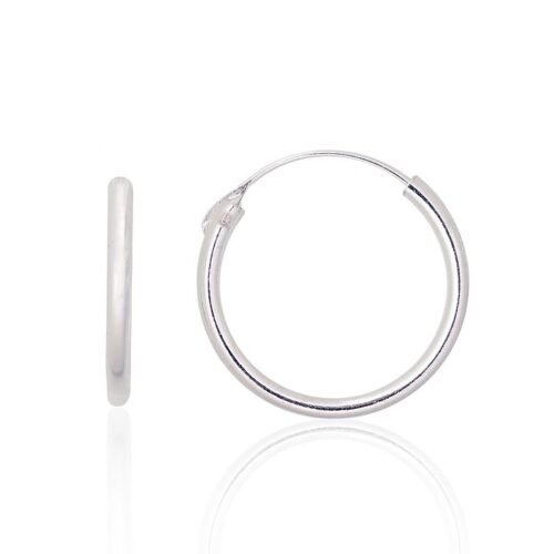 Silver earrings-rings