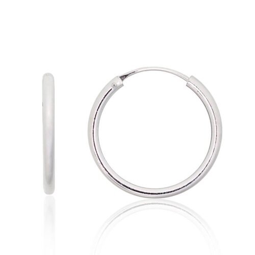 Silver earrings-rings