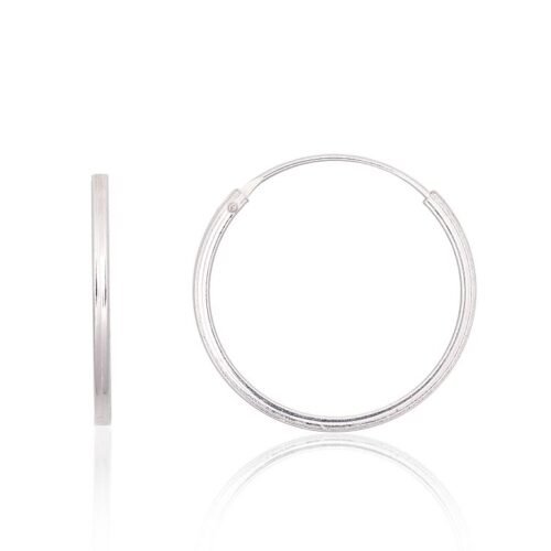 Silver earrings-rings