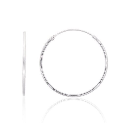 Silver earrings-rings
