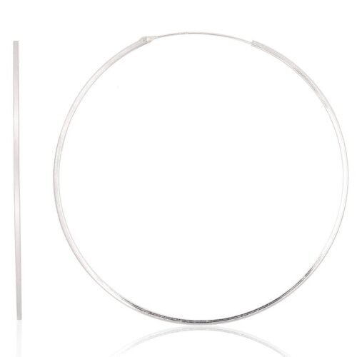 Silver earrings-rings