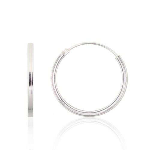 Silver earrings-rings