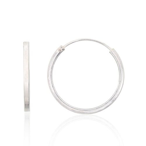 Silver earrings-rings
