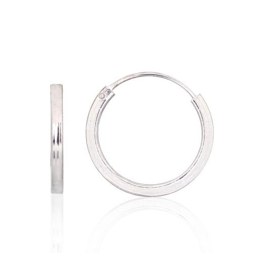 Silver earrings-rings