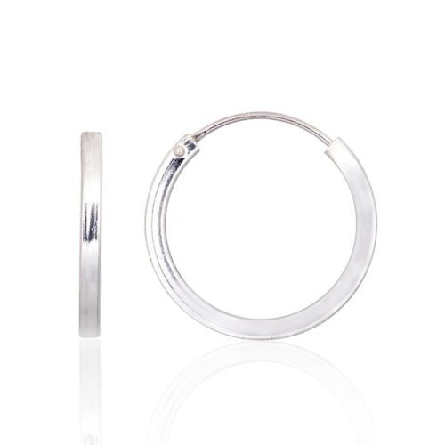 Silver earrings-rings