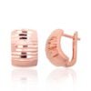 Silver earrings with 'english' lock