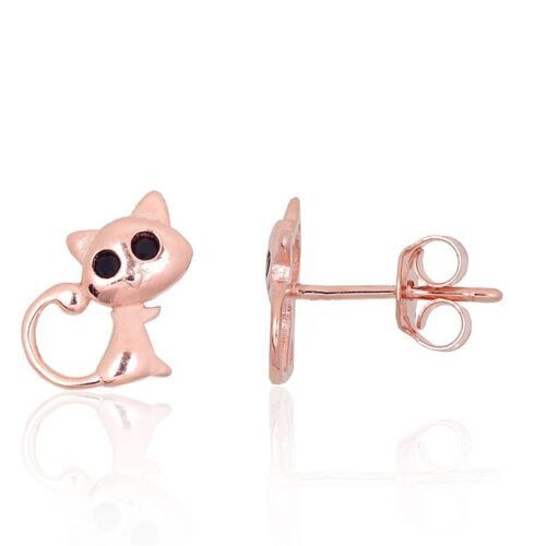 Silver stud earrings with Zirkons