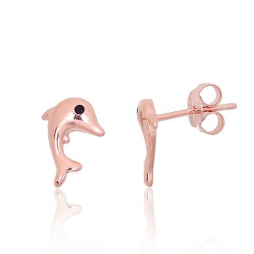 Silver stud earrings with Zirkons