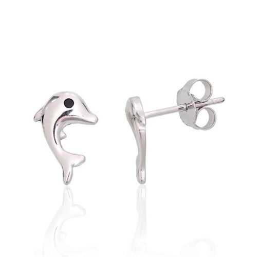 Silver stud earrings with Zirkons