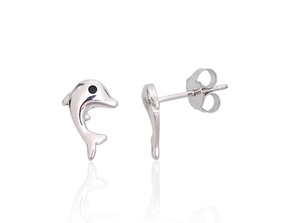 Silver stud earrings with Zirkons