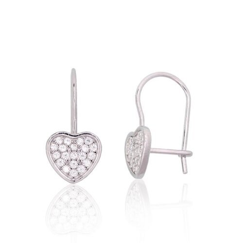 Silver hook earrings with Zirkons