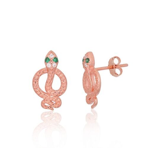 Silver stud earrings with Zirkons