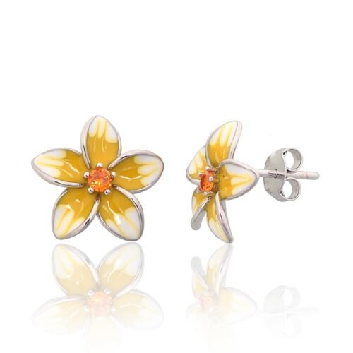 Silver stud earrings with Zirkons , Jewelery enamel