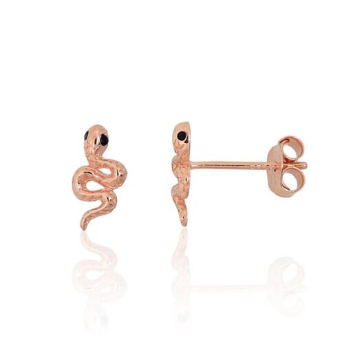 Silver stud earrings with Zirkons