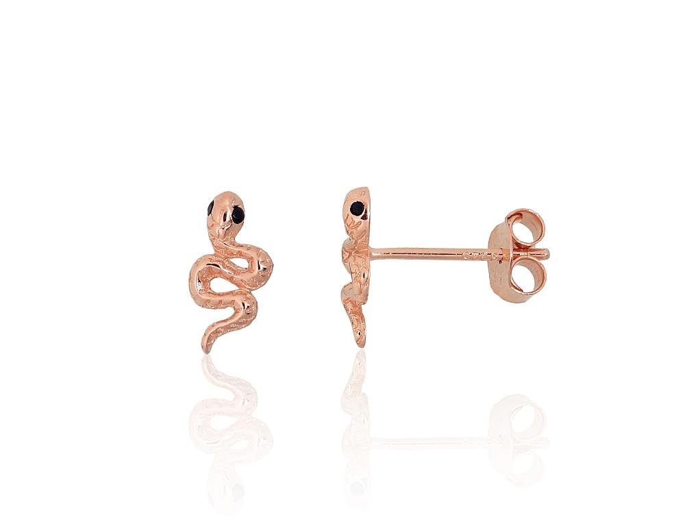 Silver stud earrings with Zirkons