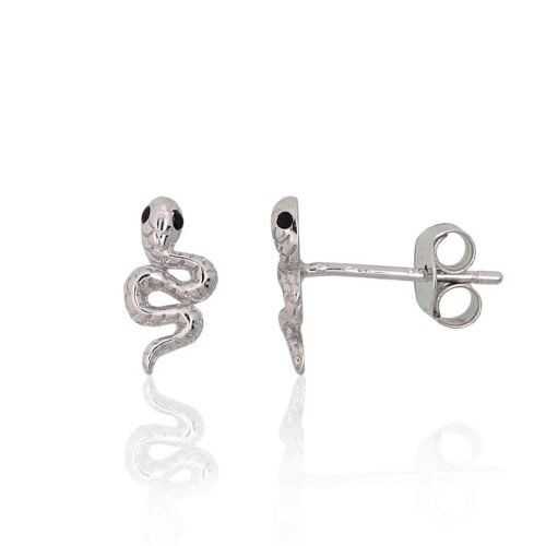 Silver stud earrings with Zirkons