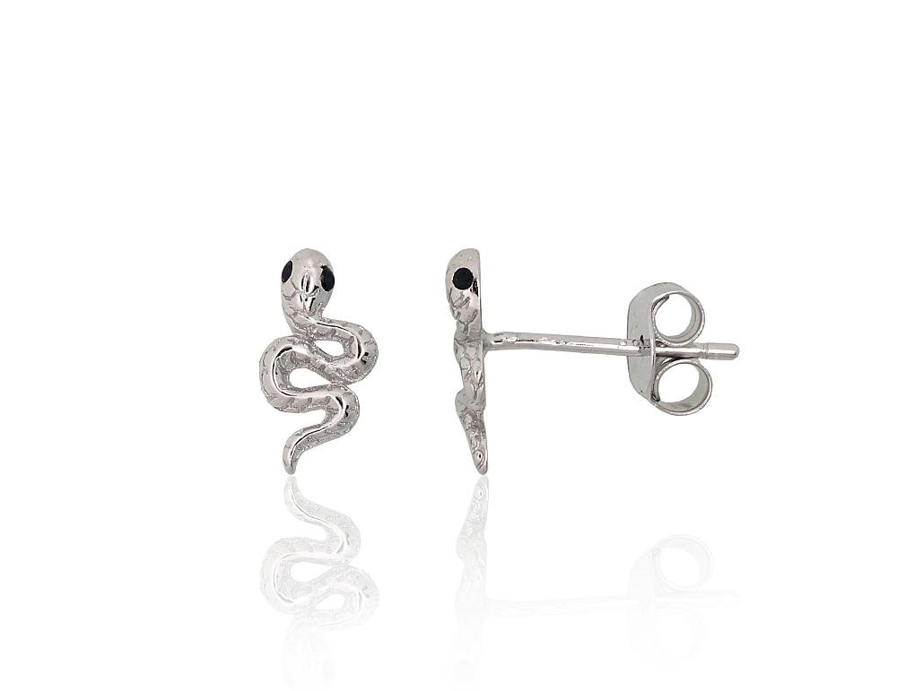 Silver stud earrings with Zirkons