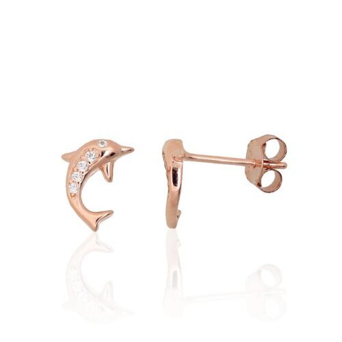 Silver stud earrings with Zirkons