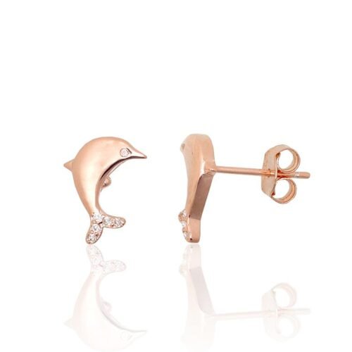 Silver stud earrings with Zirkons