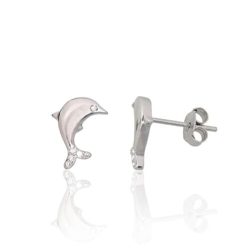 Silver stud earrings with Zirkons