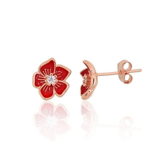 Silver stud earrings with Zirkons , Jewelery enamel