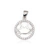 Silver pendant with Zirkons