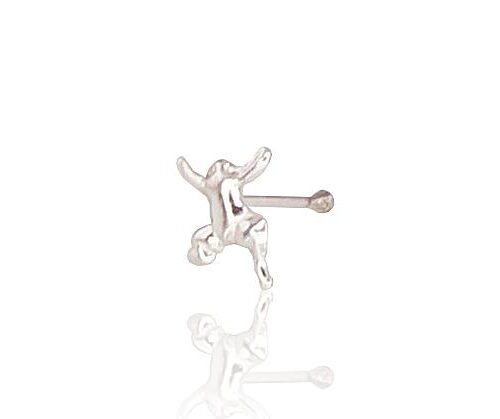 Silver piersing for nose