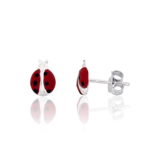 Silver stud earrings with Jewelery enamel