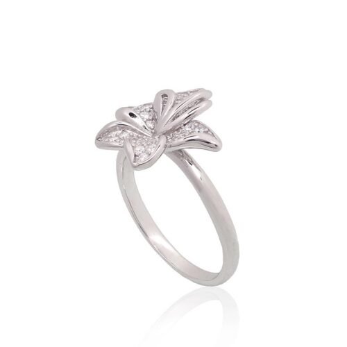 Alternative view of Silver ring with Zirkons