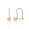 Silver hook earrings
