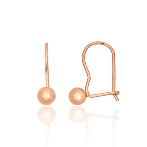 Silver hook earrings