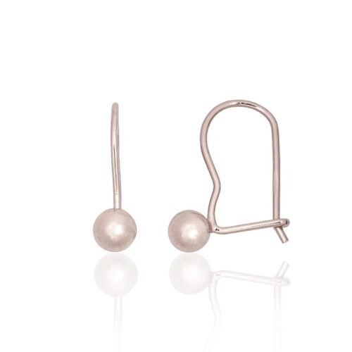Silver hook earrings