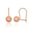 Silver hook earrings