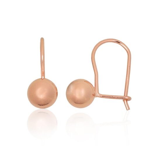 Silver hook earrings