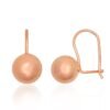 Silver hook earrings