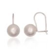 Silver hook earrings